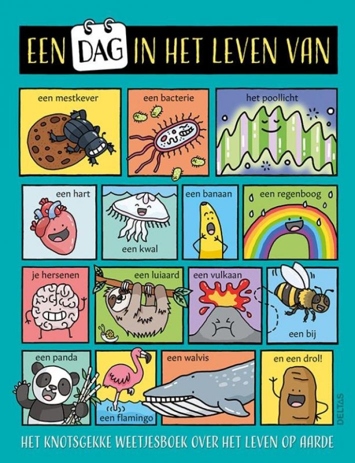 Een dag in het leven van Een dag in het leven van