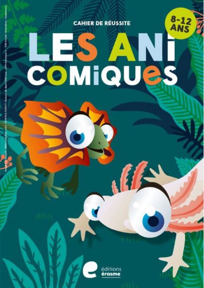 Les Anicomiques