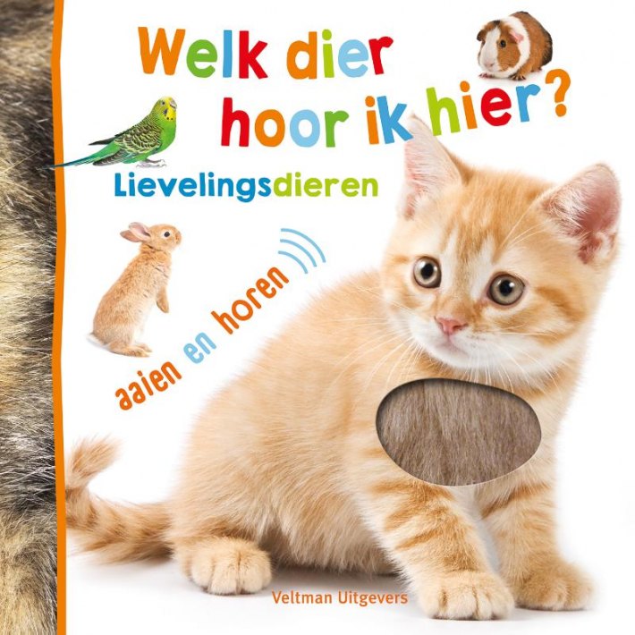 Welk dier hoor ik hier? - Lievelingsdieren Welk dier hoor ik hier? - Lievelingsdieren