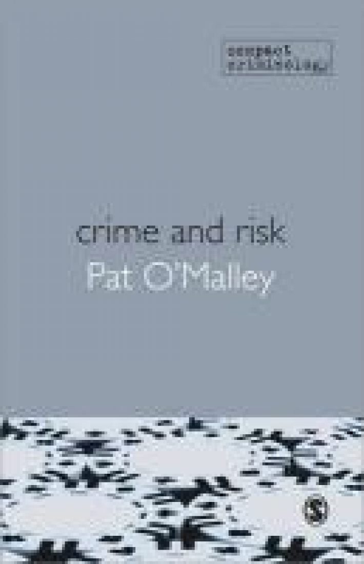 Crime and Risk