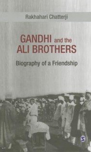 Gandhi and the Ali Brothers: Biography of a Friendship