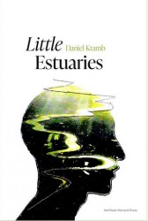 Little Estuaries