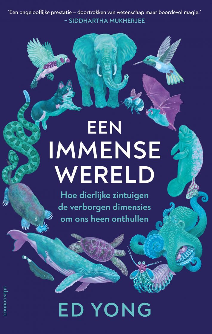 Een Immense wereld • Een Immense wereld