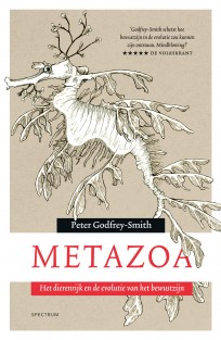 Metazoa • Metazoa