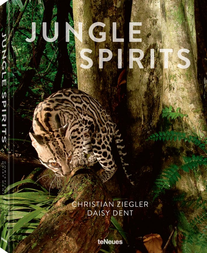 Jungle Spirits (revised edition)
