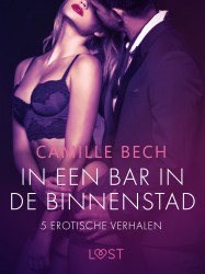 In een bar in de binnenstad – 5 erotische verhalen