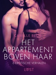 Het appartement boven haar - 6 erotische verhalen