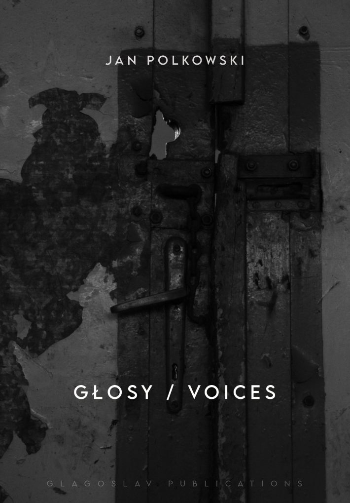 Głosy / Voices (A bilingual edition)
