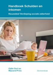 Handboek Schulden en inkomen