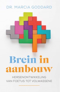 Brein in aanbouw • Brein in aanbouw