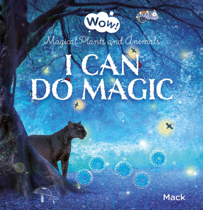 I Can Do Magic