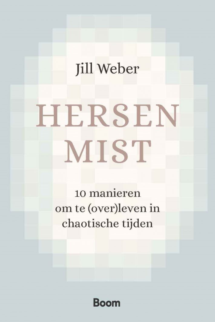 Hersenmist