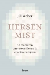 Hersenmist