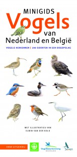 Minigids Vogels van Nederland en België
