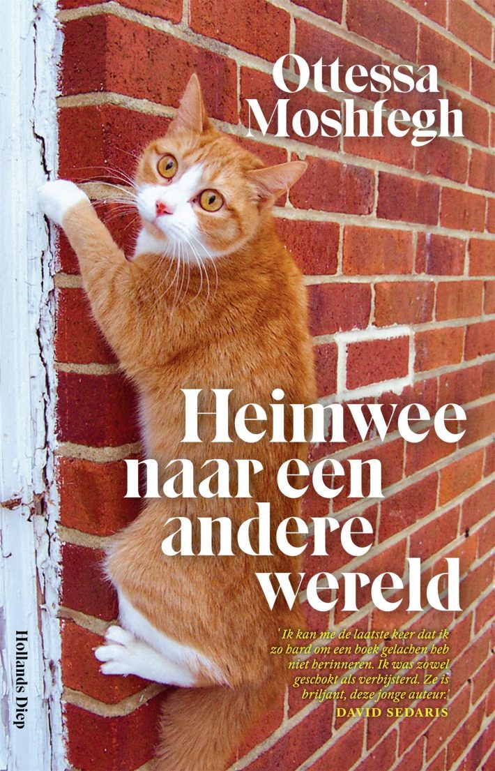 Heimwee naar een andere wereld • Heimwee naar een andere wereld • Heimwee naar een andere wereld