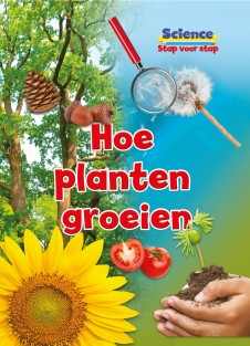 Hoe planten groeien