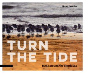 Turn the tide