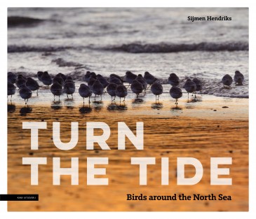 Turn the tide