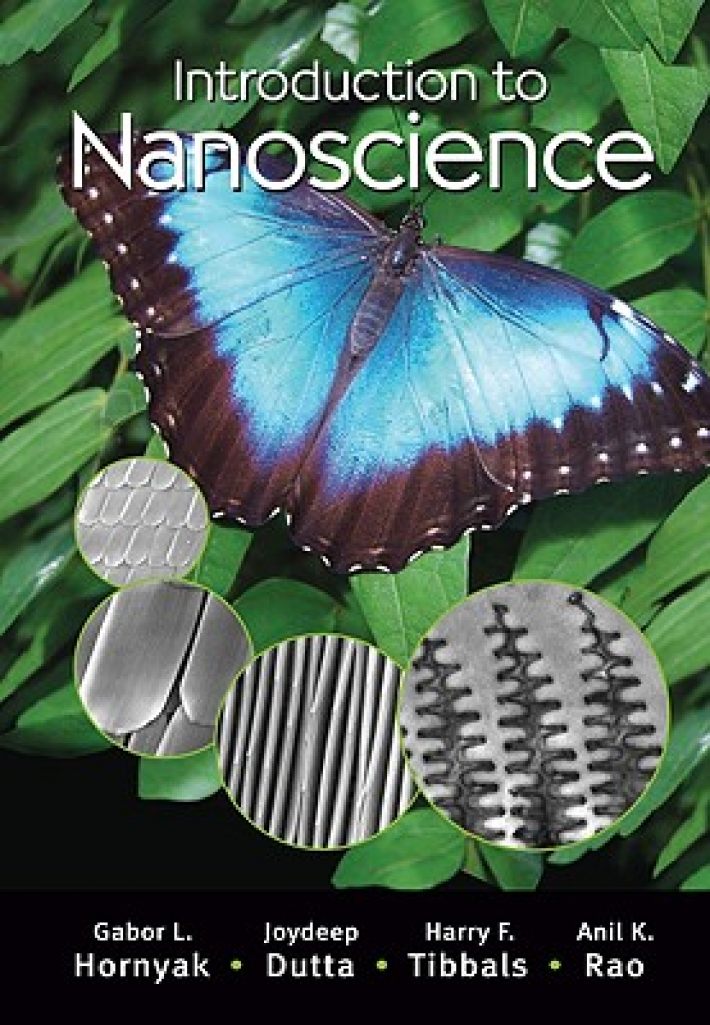 Hornyak, G: Introduction to Nanoscience