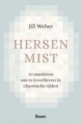 Hersenmist