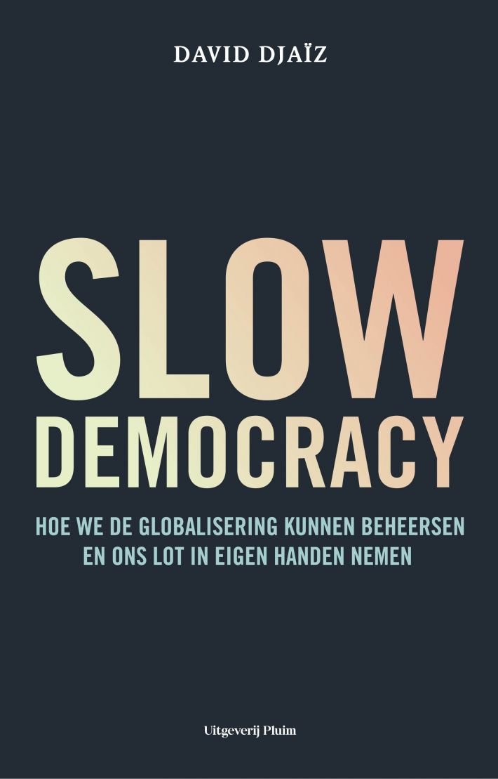 Slow democracy • Slow democracy