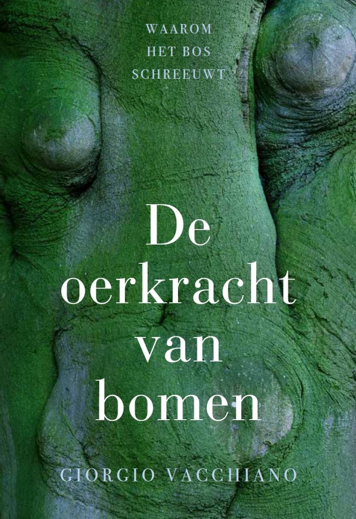 De oerkracht van bomen