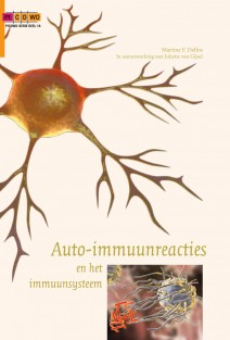 Auto-immuunreacties en het immuunsysteem