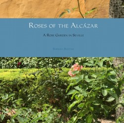 Roses of the Alcázar
