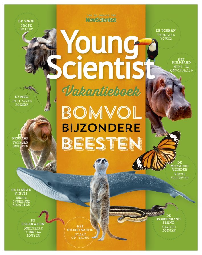 Young Scientist Vakantieboek