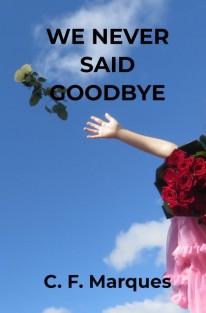 We never said goodbye