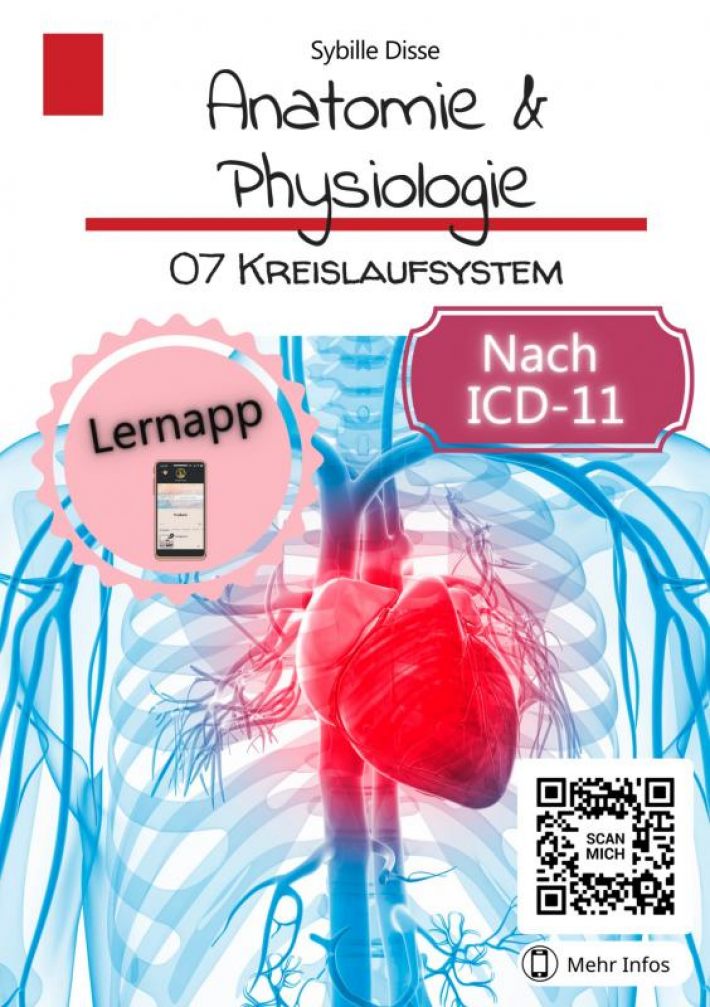 Anatomie & Physiologie Band 07: Kreislaufsystem