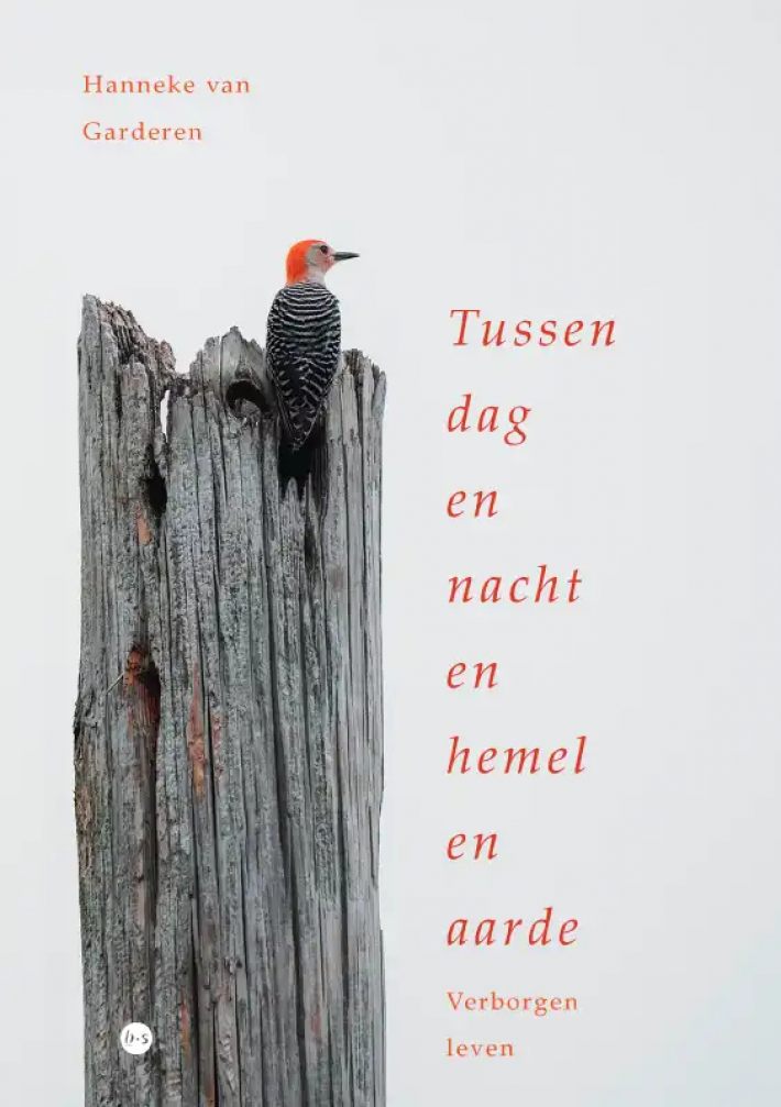 Tussen dag en nacht en hemel en aarde