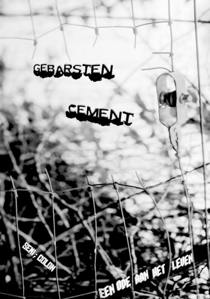 Gebarsten Cement