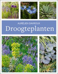 Droogteplanten