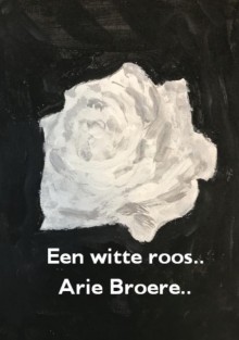 Een witte roos..