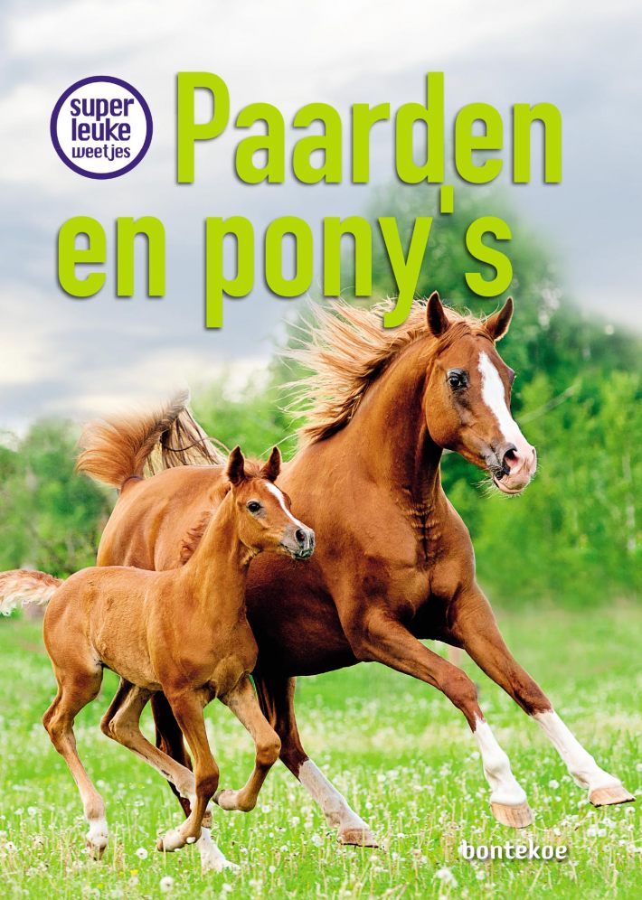 Superleuke weetjes over paarden en pony’s