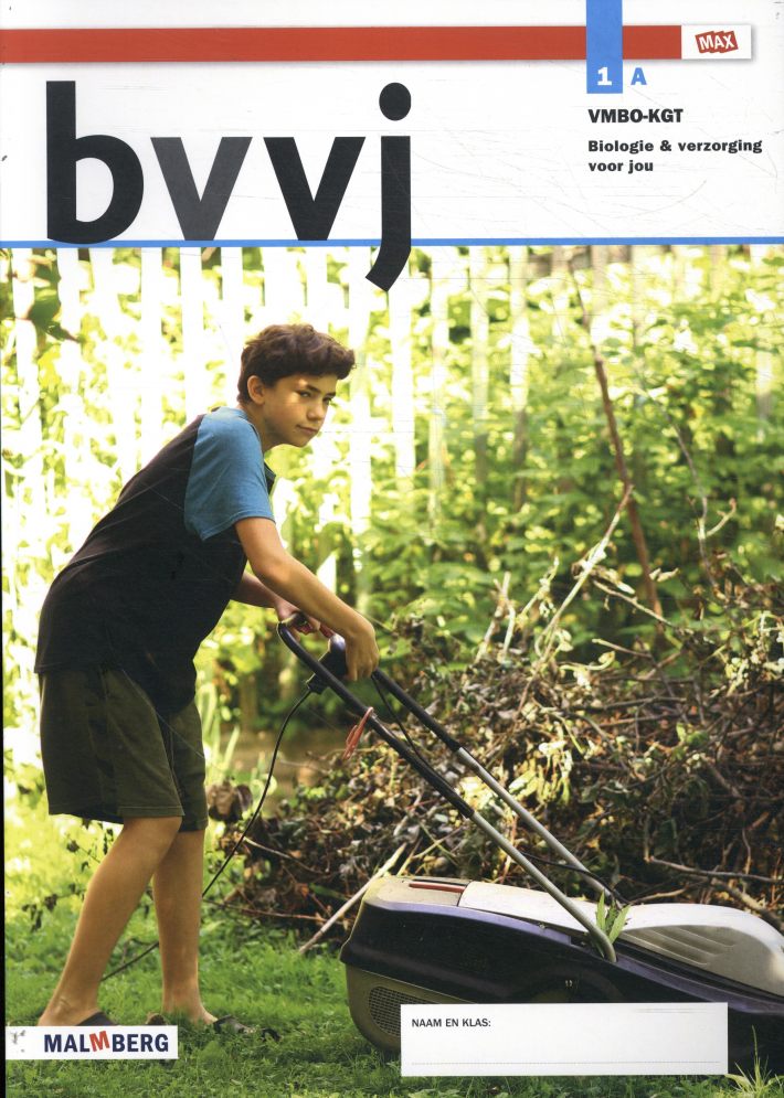 Bvvj