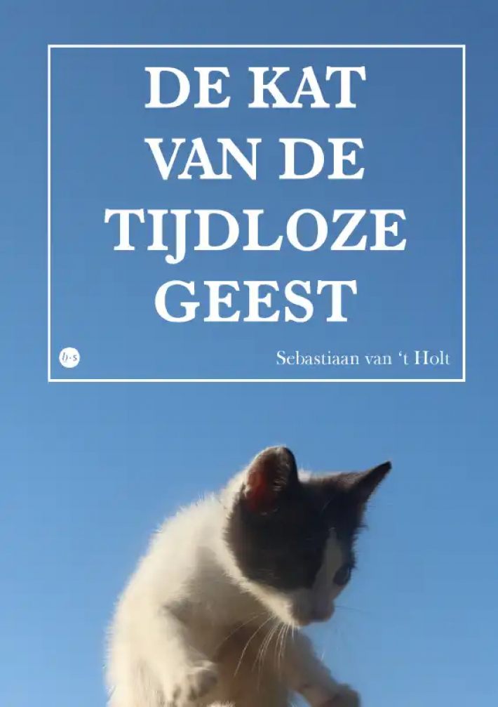 De Kat van de Tijdloze Geest