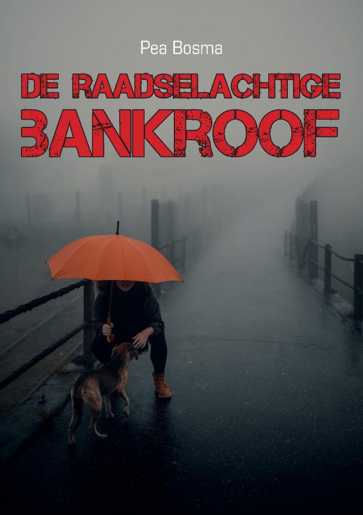 De raadselachtige bankroof • De raadselachtige bankroof