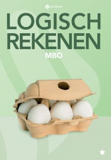 Logisch Rekenen - MBO leerwerkboek niveau 1*