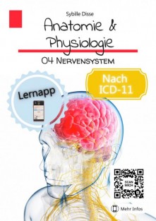 Anatomie & Physiologie Band 04: Nervensystem