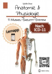 Anatomie & Physiologie Band 11: Muskel-Skelett-System