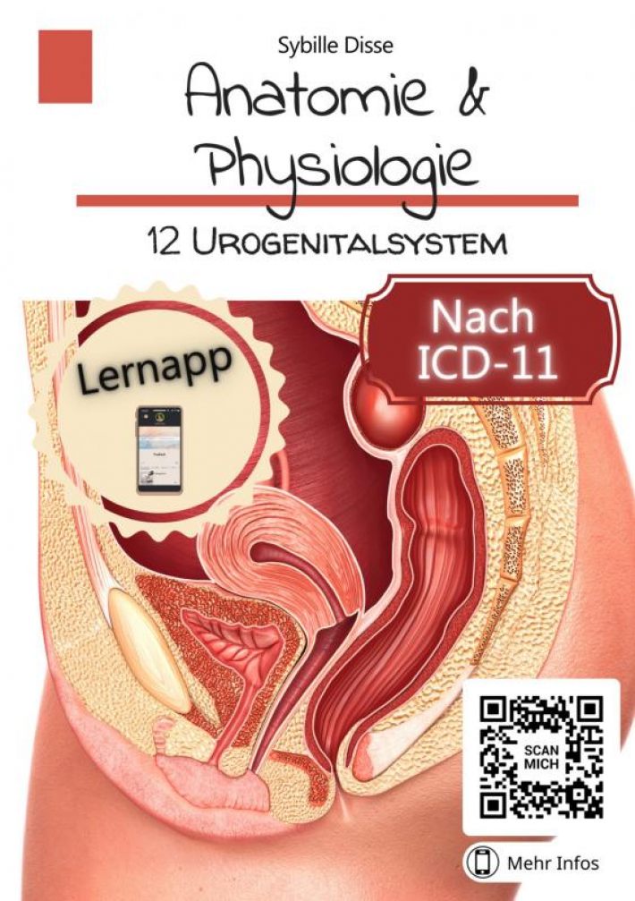 Anatomie & Physiologie Band 12: Urogenitalsystem