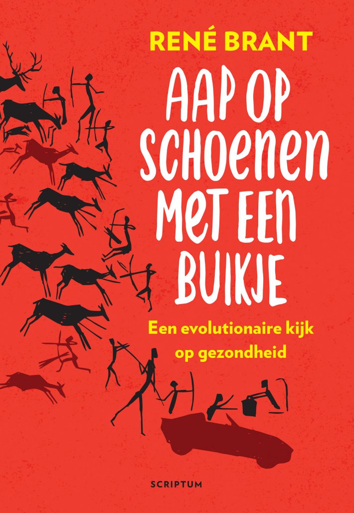 Aap op schoenen met een buikje • Aap op schoenen met een buikje