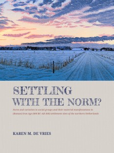 Settling with the norm? • Settling with the norm?