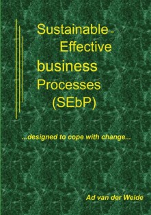 Sustainable-effective business processes (SEbP)