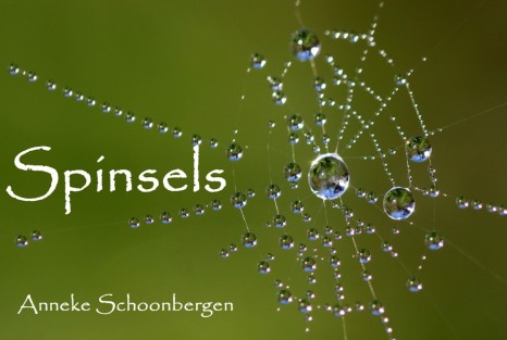 Spinsels