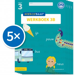Schrijfbaas Blokletters Werkboek 3B (Set van 5)