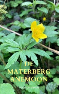 De Materberg anemoon