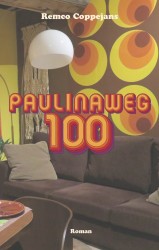 Paulinaweg 100 • Paulinaweg 100